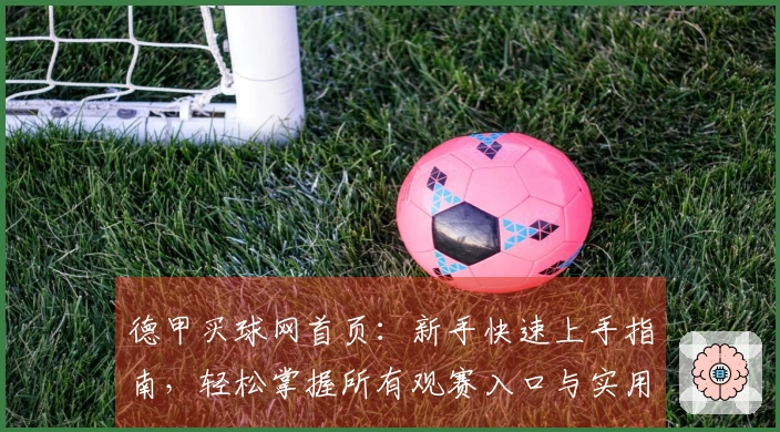 德甲买球网首页：新手快速上手指南，轻松掌握所有观赛入口与实用功能