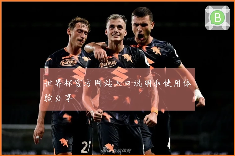 世界杯官方网站入口说明和使用体验分享